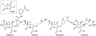 Mobile Carbapenemase Genes in Pseudomonas aeruginosa